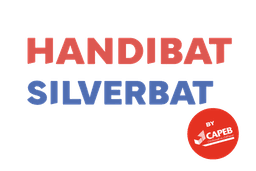 Handibat Silverbat